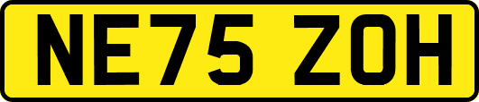 NE75ZOH