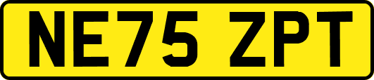 NE75ZPT