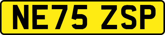 NE75ZSP