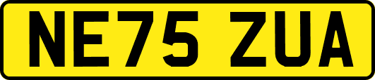 NE75ZUA