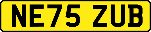 NE75ZUB