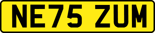 NE75ZUM
