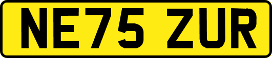 NE75ZUR