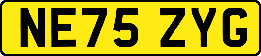 NE75ZYG