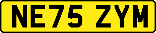 NE75ZYM