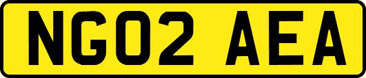 NG02AEA