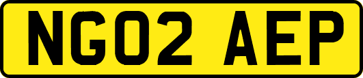 NG02AEP
