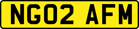NG02AFM