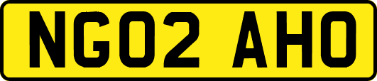 NG02AHO