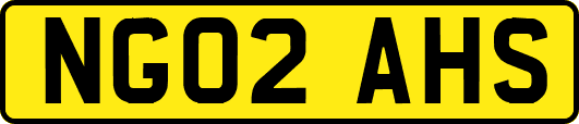 NG02AHS
