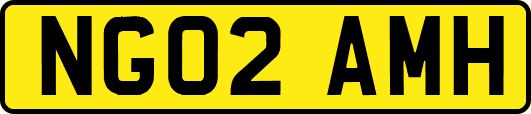 NG02AMH