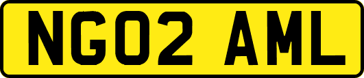 NG02AML