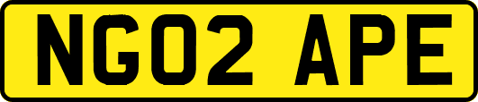 NG02APE