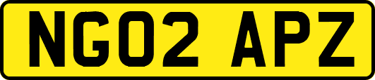 NG02APZ