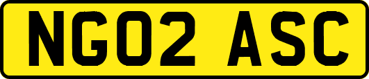 NG02ASC
