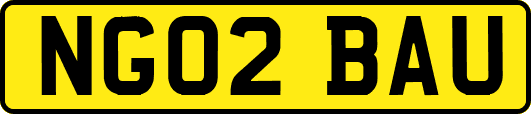 NG02BAU