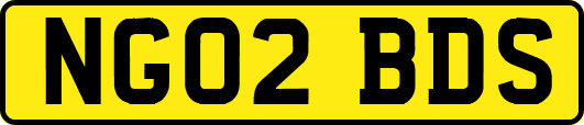 NG02BDS