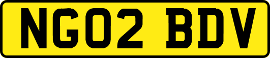 NG02BDV