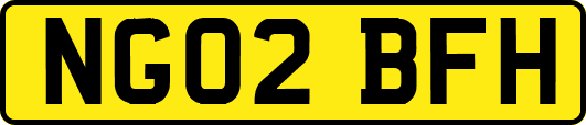 NG02BFH
