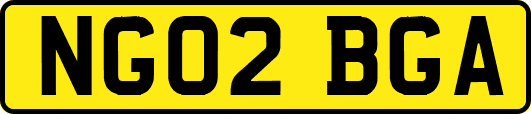 NG02BGA