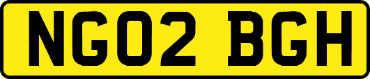 NG02BGH