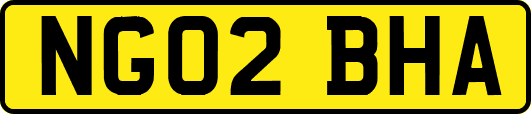 NG02BHA
