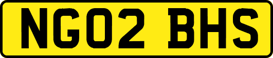 NG02BHS