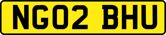 NG02BHU