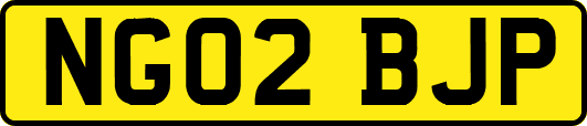 NG02BJP