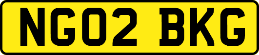 NG02BKG
