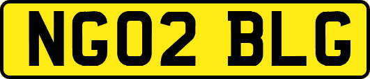 NG02BLG