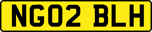 NG02BLH