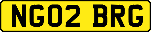 NG02BRG
