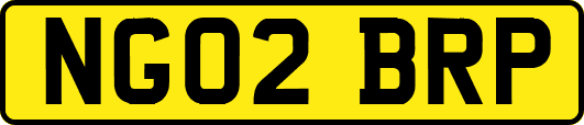 NG02BRP
