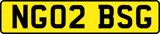 NG02BSG