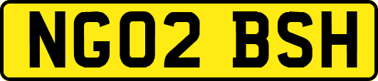 NG02BSH