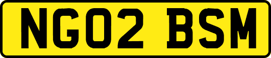 NG02BSM
