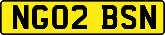 NG02BSN