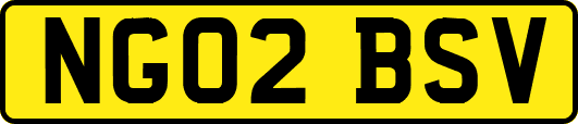 NG02BSV