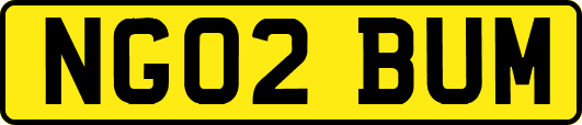 NG02BUM