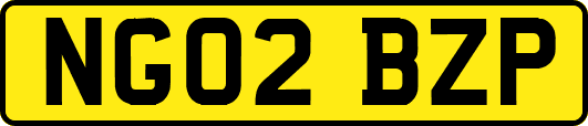 NG02BZP