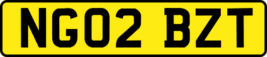 NG02BZT