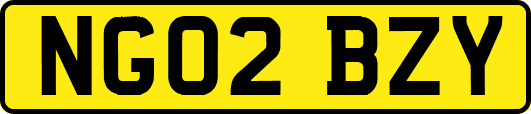 NG02BZY