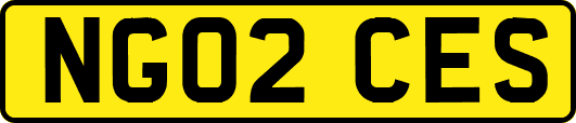 NG02CES