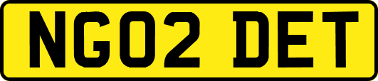 NG02DET