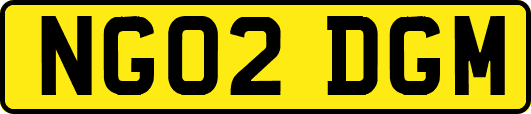 NG02DGM