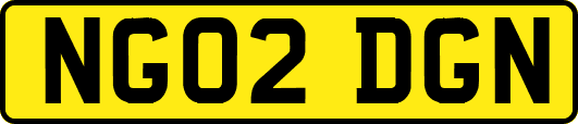 NG02DGN