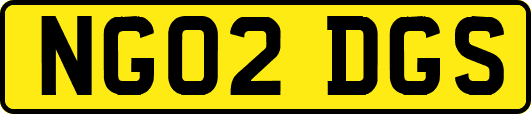 NG02DGS