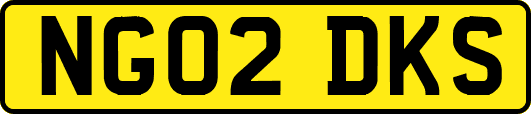 NG02DKS