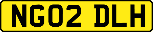 NG02DLH